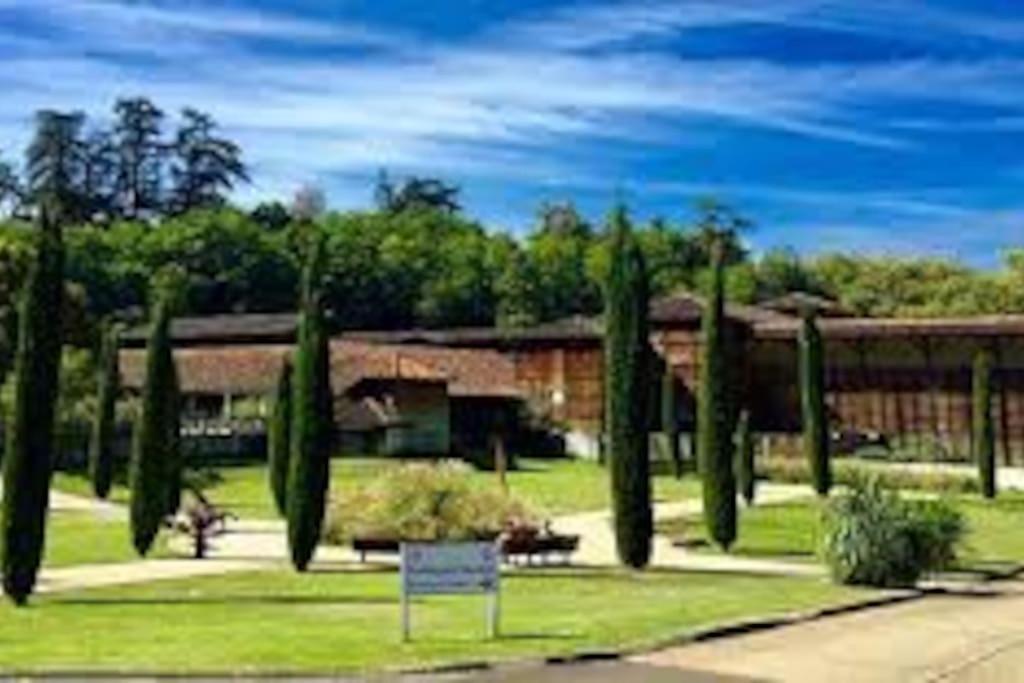 Studio 2 Lits Barbotan Les Thermes Cazaubon Kültér fotó